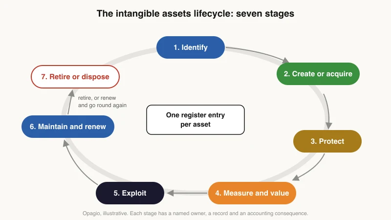 Diagram of the intangible assets lifecycle as a loop of seven stages: identify, create or acquire, protect, measure and value, exploit, maintain and renew, and retire or dispose, around one register entry per asset
